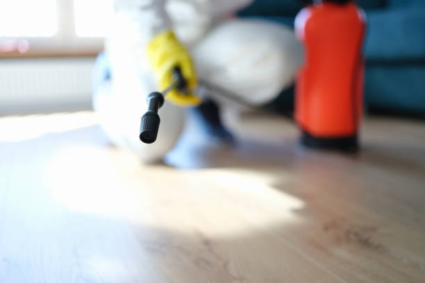 Best Attic Mold Removal  in Arcadia, FL